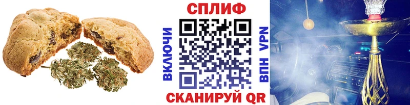 Canna-Cookies конопля  мориарти наркотические препараты  Шатура  магазин продажи  