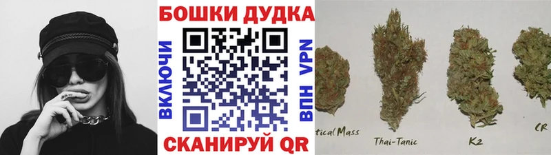 Шишки марихуана MAZAR  купить наркотик  Шатура 